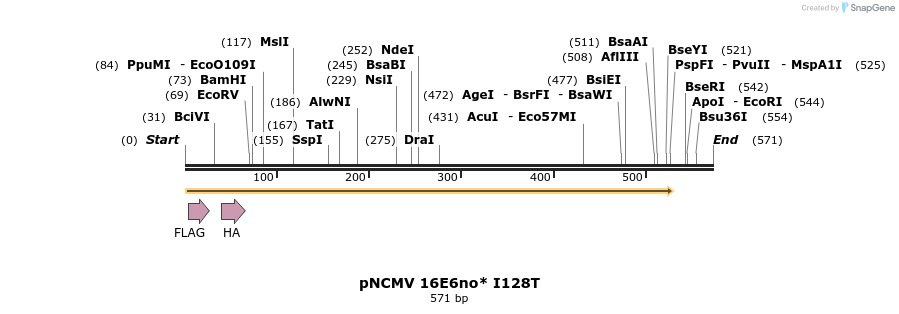 68113_map