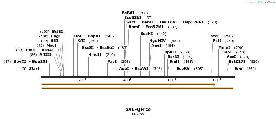 68119_map