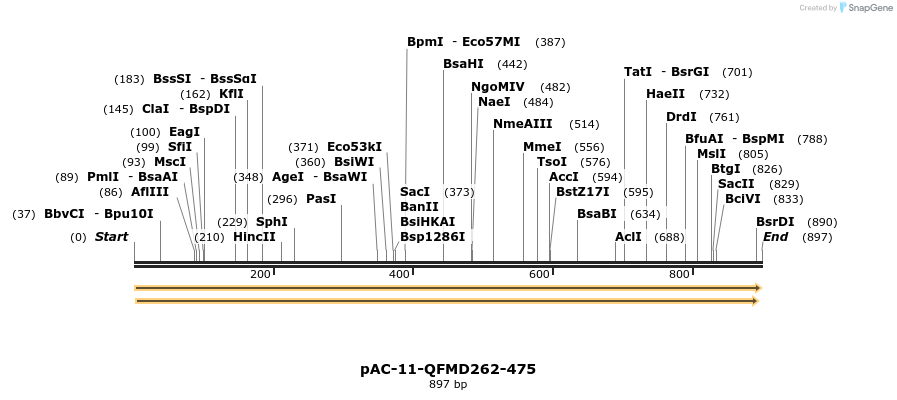 68125_map