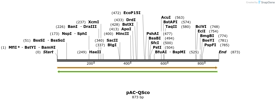 68131_map