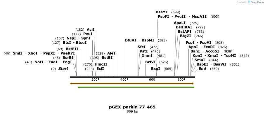 68141_map