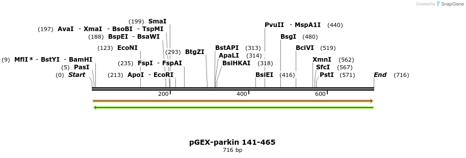 68142_map