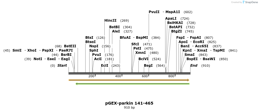 68143_map