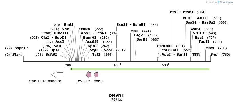 68144_map