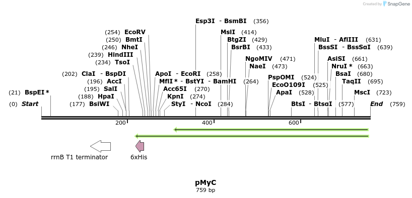 68149_map