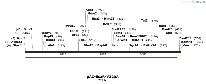 68154_map