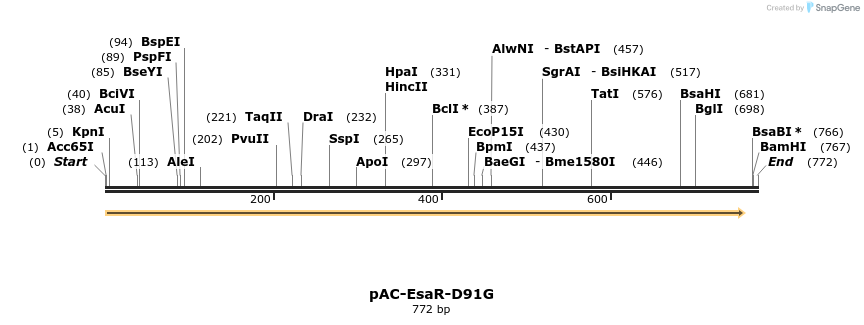 68155_map