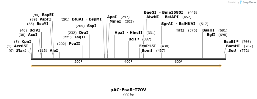 68156_map
