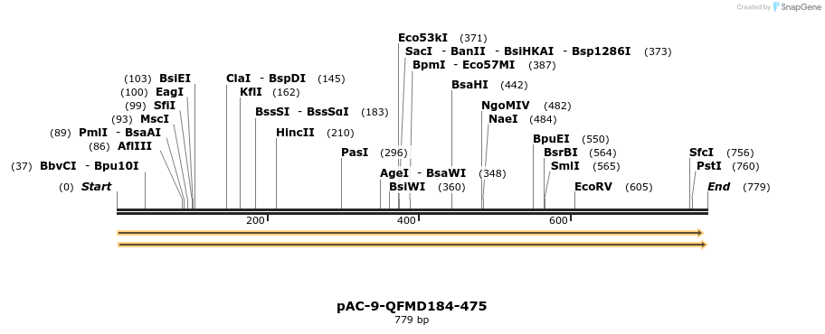 68175_map