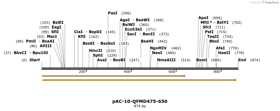 68177_map
