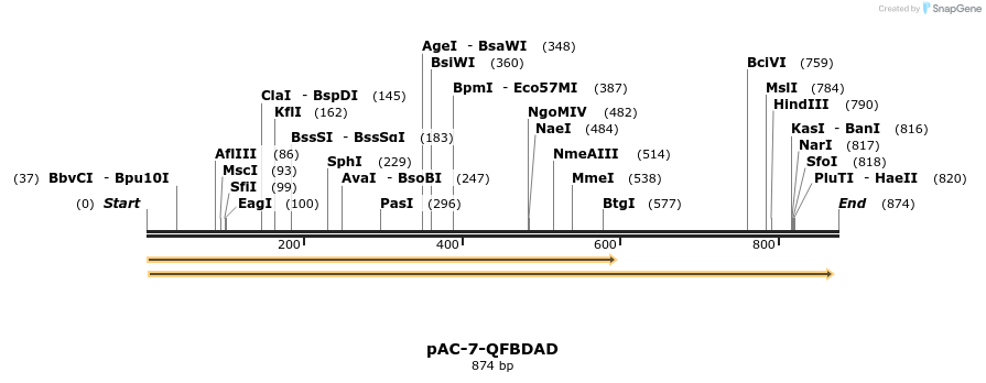 68182_map
