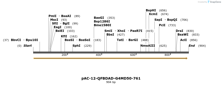 68183_map