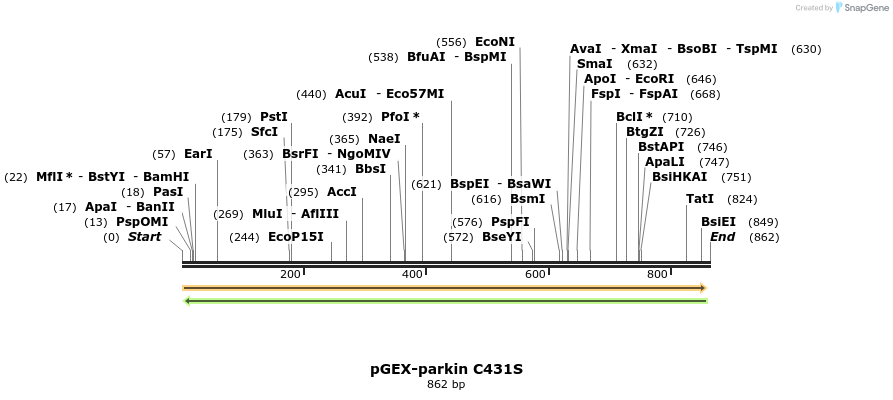 68191_map