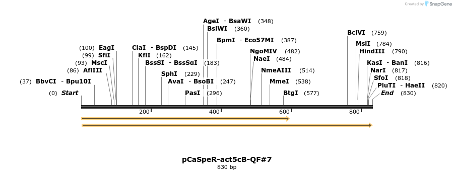 68192_map