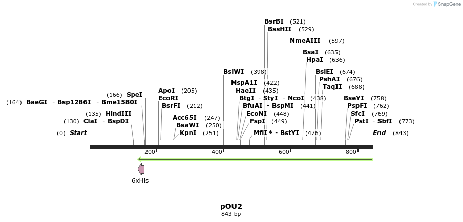 68193_map