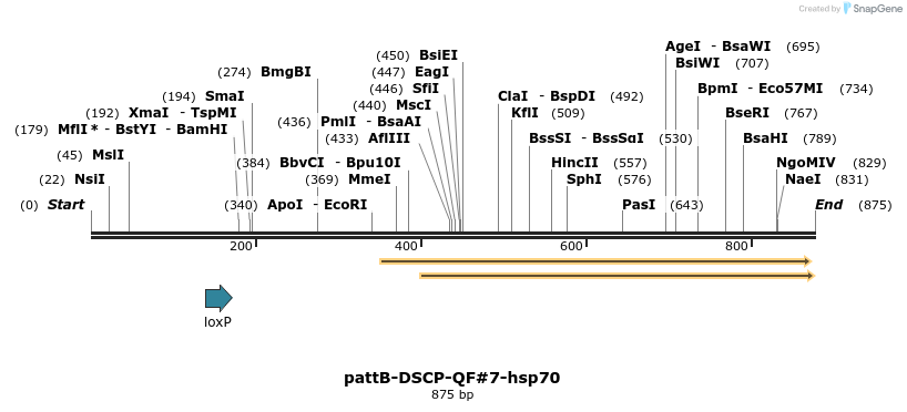 68194_map