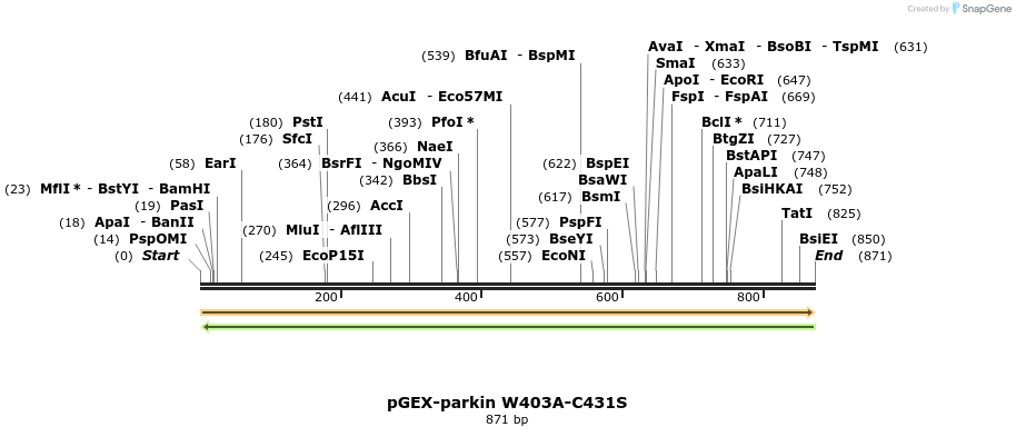 68196_map