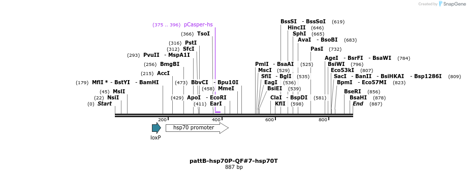 68197_map