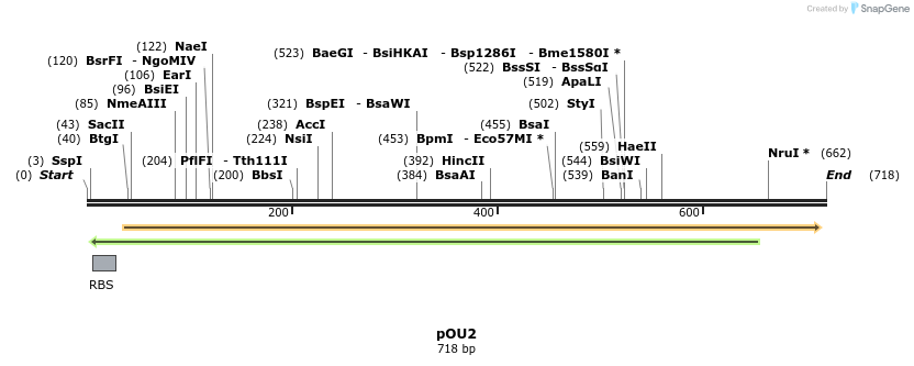 68198_map