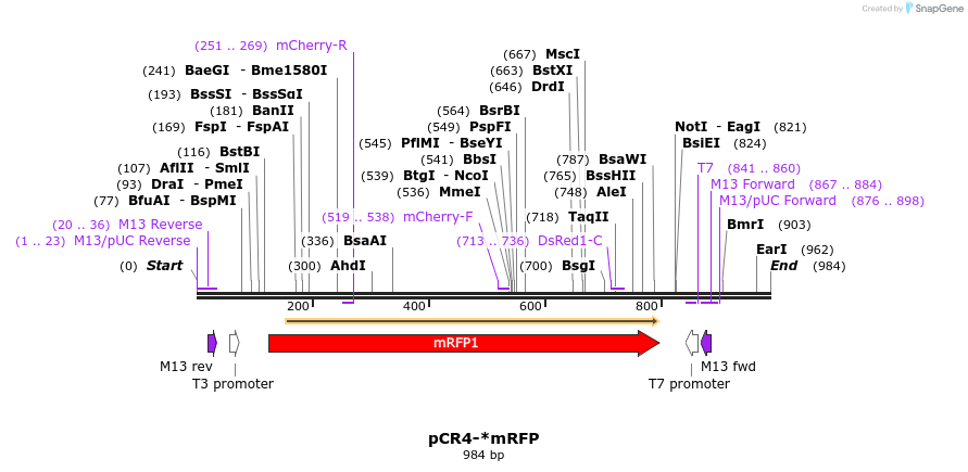 68202_map