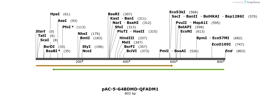 68203_map