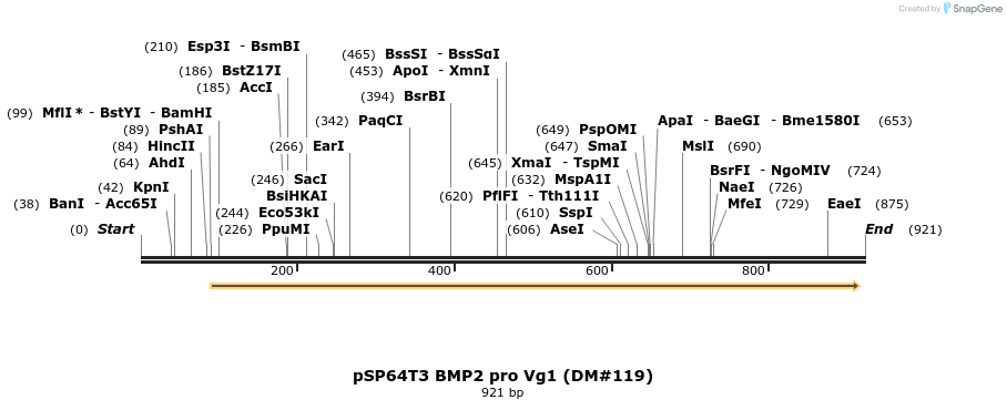 68205_map