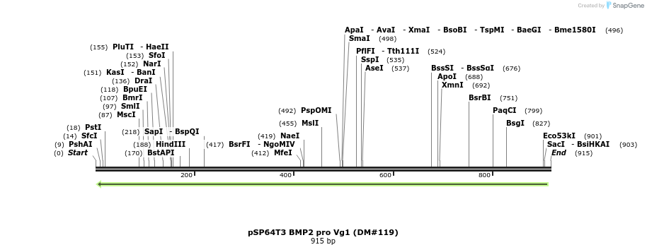 68207_map