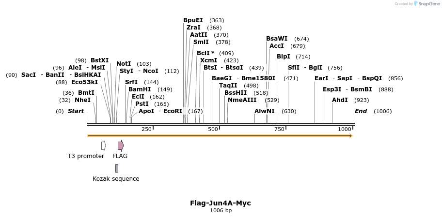 68209_map