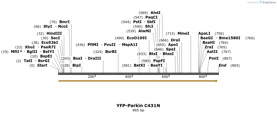 68213_map