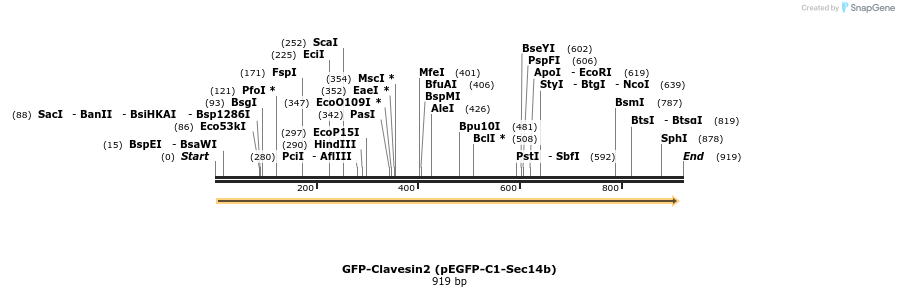 68216_map