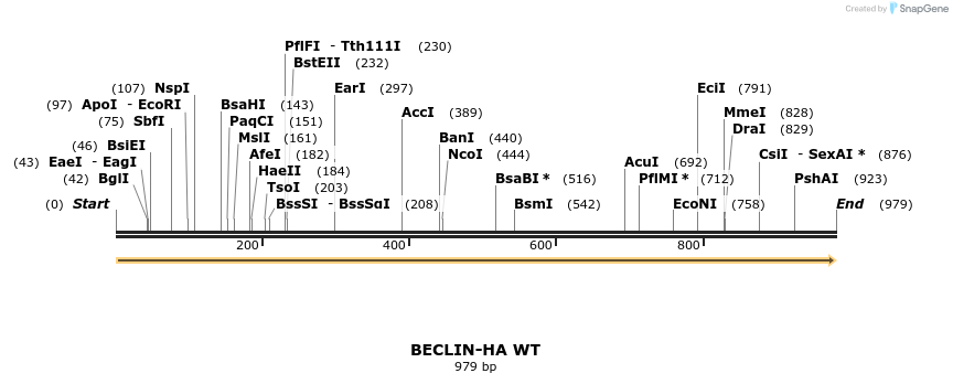 68220_map