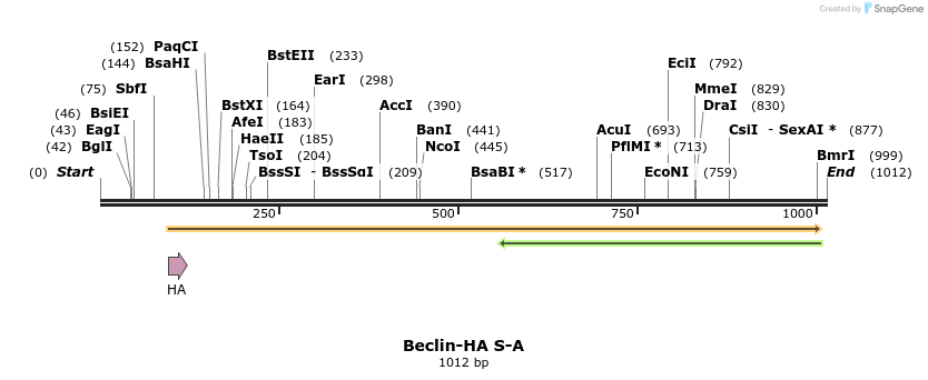 68223_map