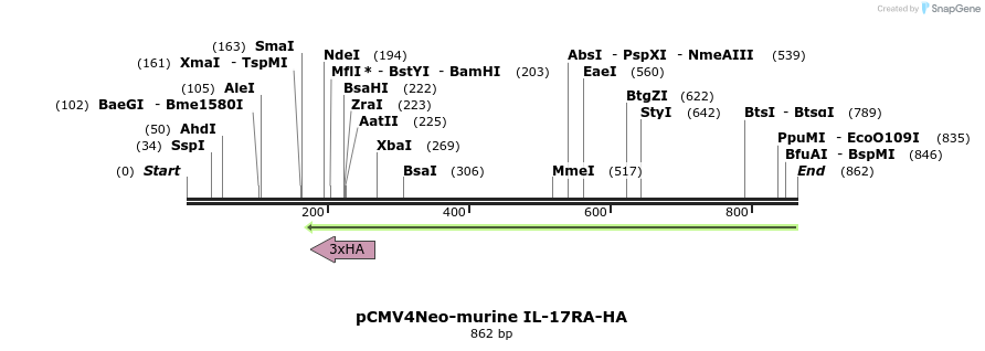 68225_map