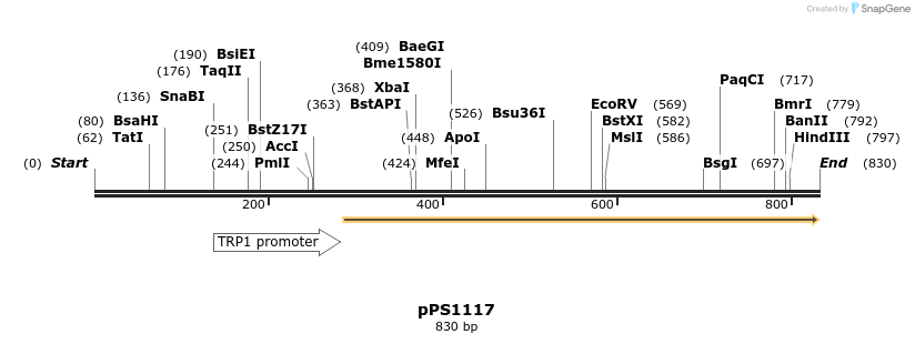 68229_map