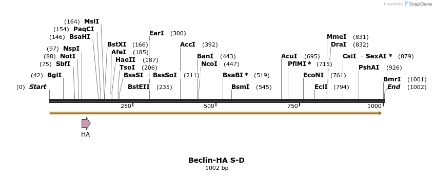 68230_map