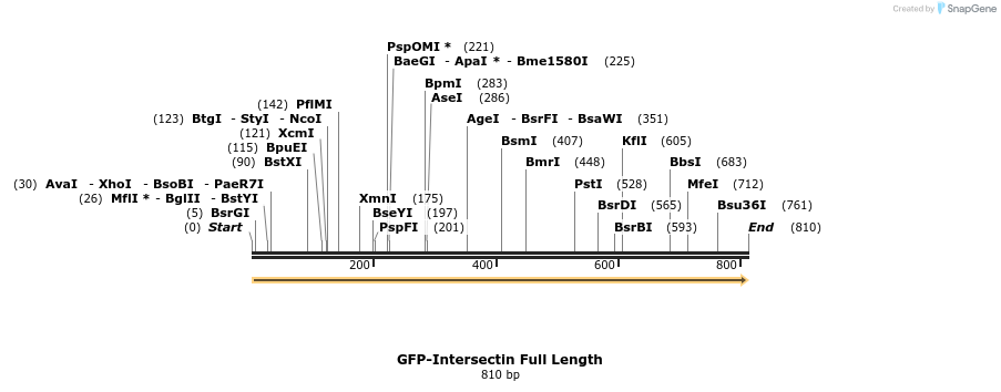68231_map