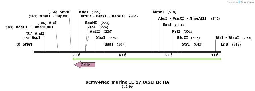 68235_map