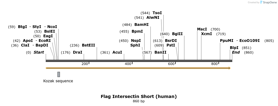 68239_map
