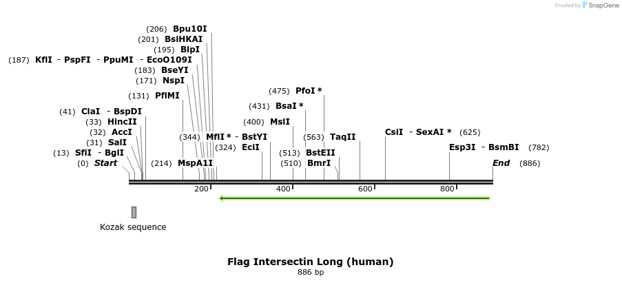 68242_map