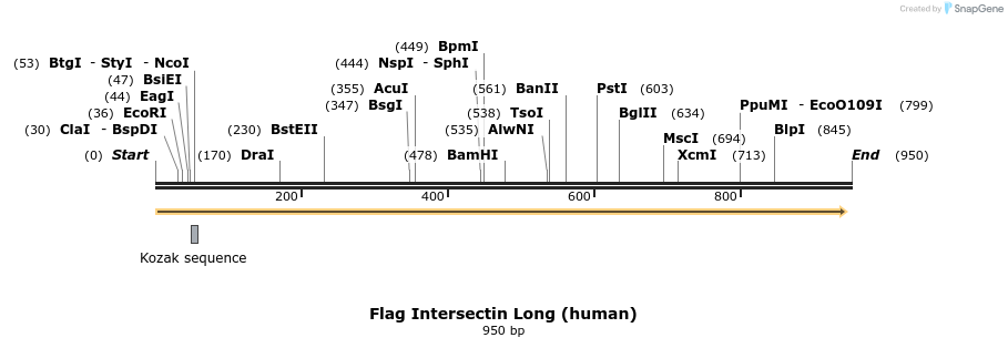 68243_map