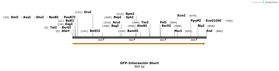 68247_map