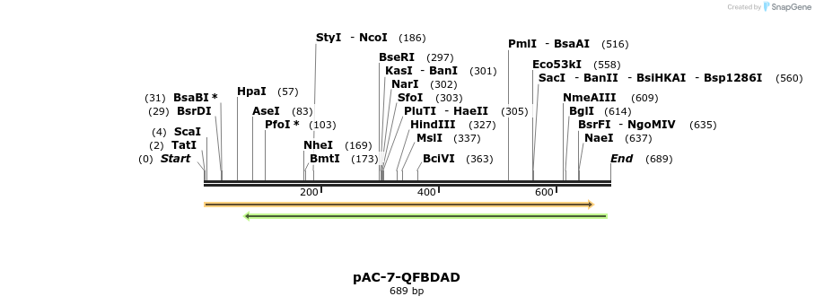 68249_map