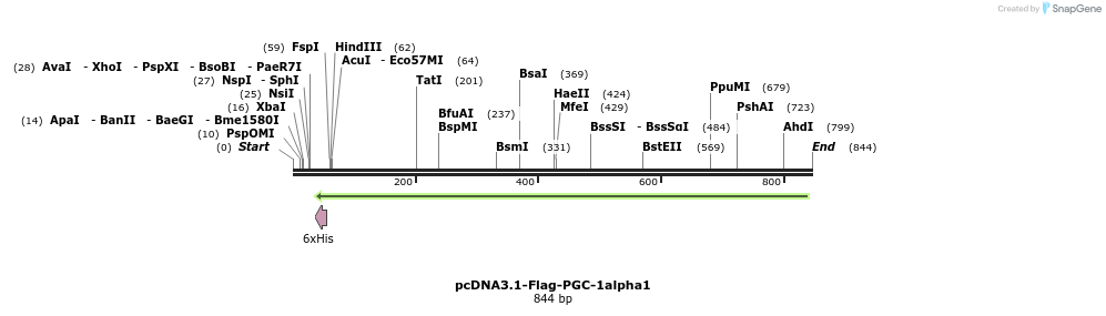 68254_map