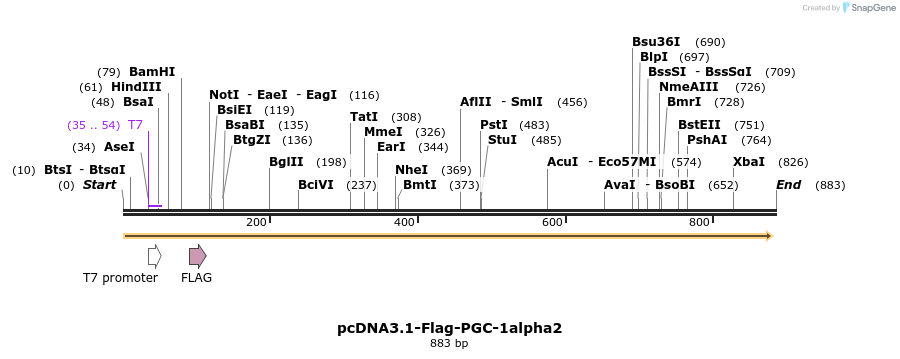 68256_map