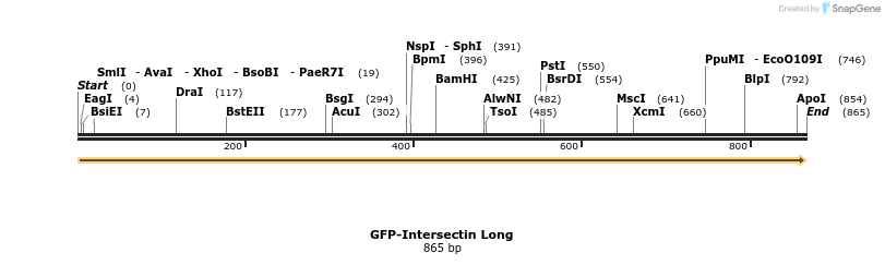 68266_map