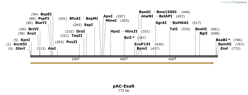 68273_map