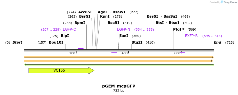 68283_map