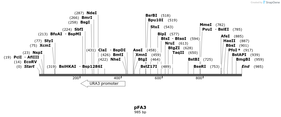 68295_map