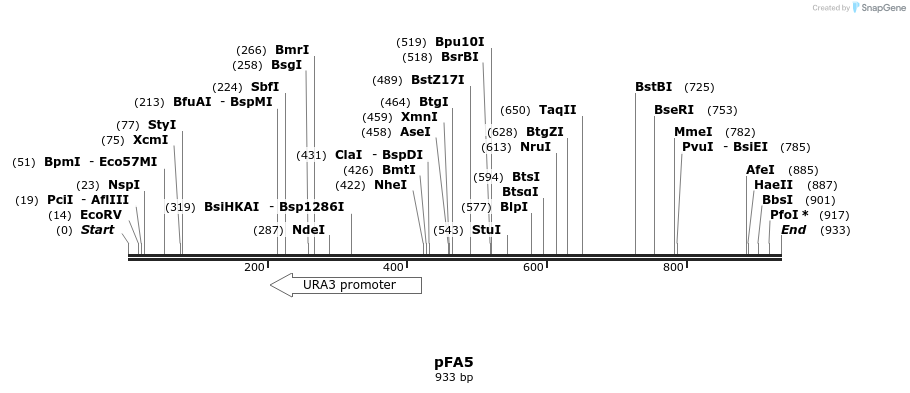 68302_map