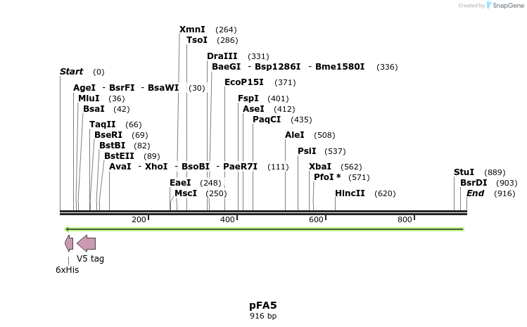 68303_map